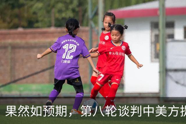果然如预期，第八轮谈判中美方提出重要请求，中方早已表态