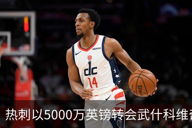 热刺以5000万英镑转会武什科维奇，未曾出战一线队